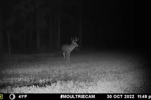 1609 S Sage Lake Rd, Hale, MI 48739 - Photo 155