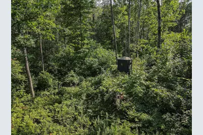 1609 S Sage Lake Road, Hale, MI 48739 - Photo 55