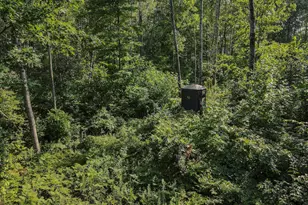 1609 S Sage Lake Rd, Hale, MI 48739 - Photo 55