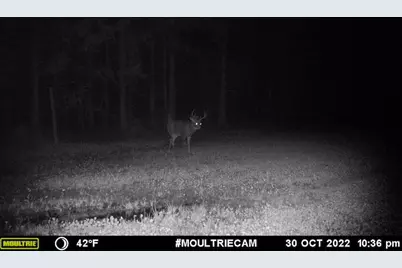 1609 S Sage Lake Road, Hale, MI 48739 - Photo 153