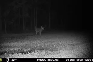 1609 S Sage Lake Rd, Hale, MI 48739 - Photo 153