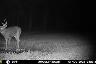 1609 S Sage Lake Rd, Hale, MI 48739 - Photo 159