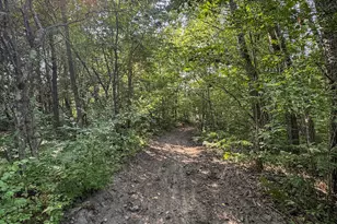 1609 S Sage Lake Rd, Hale, MI 48739 - Photo 69