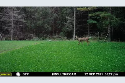 1609 S Sage Lake Road, Hale, MI 48739 - Photo 161