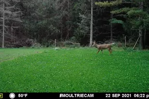 1609 S Sage Lake Rd, Hale, MI 48739 - Photo 161