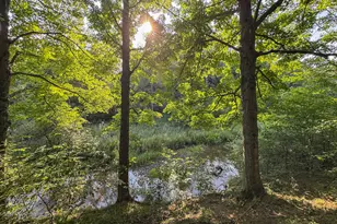 1609 S Sage Lake Rd, Hale, MI 48739 - Photo 41