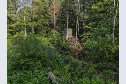 1609 S Sage Lake Road, Hale, MI 48739 - Photo 57