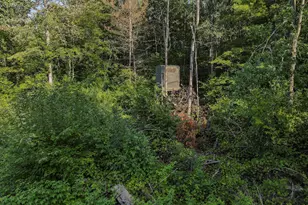 1609 S Sage Lake Rd, Hale, MI 48739 - Photo 57