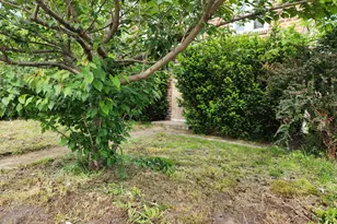 907 Russell St, Kalamazoo, MI 49001 - Photo 7