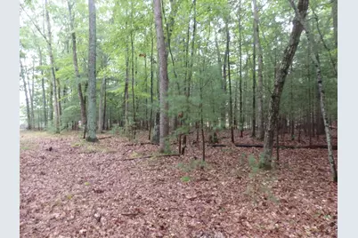 Shingle Mill Way W #19, Manistee, MI 49660 - Photo 5