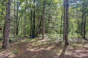 10450 N Tuttle Rd, Free Soil, MI 49411 - Photo 33