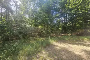928 Pilgrim Hwy, Frankfort, MI 49635 - Photo 21