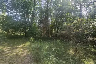 928 Pilgrim Hwy, Frankfort, MI 49635 - Photo 7