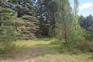 928 Pilgrim Hwy, Frankfort, MI 49635 - Photo 9