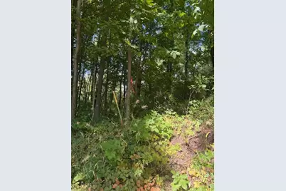 Parcel B Maple Grove, Hastings, MI 49058 - Photo 7