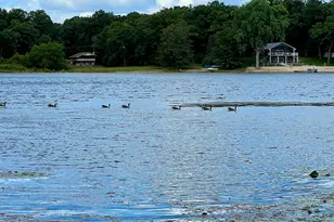 7832 US Hwy 10, Branch, MI 49402 - Photo 15