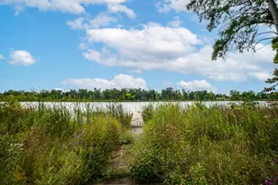 14807 Huyck Lake Ln, Marcellus, MI 49067 - Photo 37