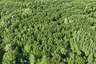 14308 W Church Road Rd, Howard City, MI 49329 - Photo 11