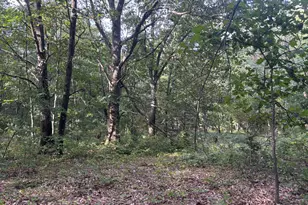 14308 W Church Road Rd, Howard City, MI 49329 - Photo 31