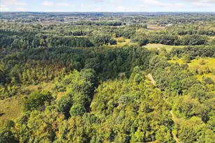 6930 Bowerman Rd, Horton, MI 49246 - Photo 69