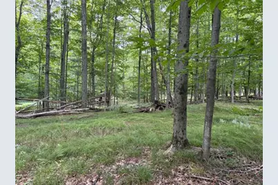 Flarity Road, Brethren, MI 49619 - Photo 3