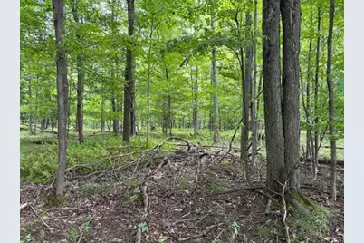 Flarity Road, Brethren, MI 49619 - Photo 13