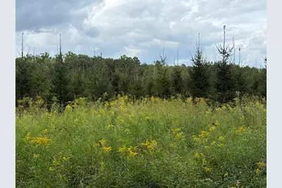 Flarity Road, Brethren, MI 49619 - Photo 5