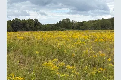Flarity Road, Brethren, MI 49619 - Photo 7