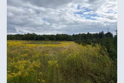 Flarity Road, Brethren, MI 49619 - Photo 9