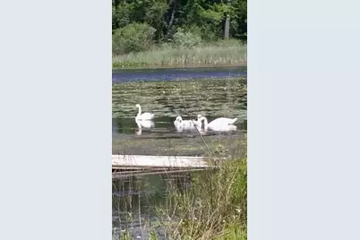 0 US 12 W, Buchanan, MI 49107 - Photo 7