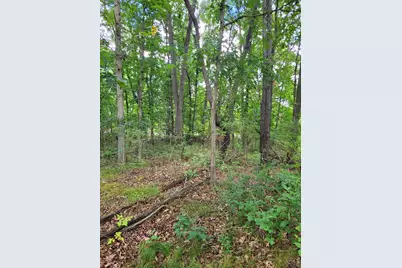 0 US 12 W, Buchanan, MI 49107 - Photo 9
