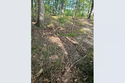 0 US 12 W, Buchanan, MI 49107 - Photo 11