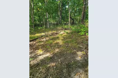 0 US 12 W, Buchanan, MI 49107 - Photo 13