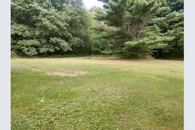 8653 E Remus Road, Mount Pleasant, MI 48858 - Photo 13