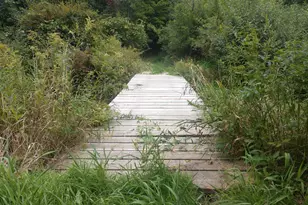 8653 E Remus Rd, Mount Pleasant, MI 48858 - Photo 15