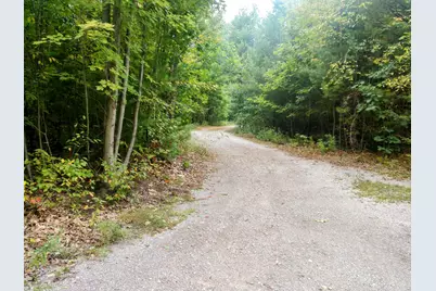 8653 E Remus Road, Mount Pleasant, MI 48858 - Photo 3