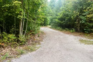 8653 E Remus Rd, Mount Pleasant, MI 48858 - Photo 3