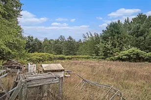 305 55th St, Grand Junction, MI 49056 - Photo 9