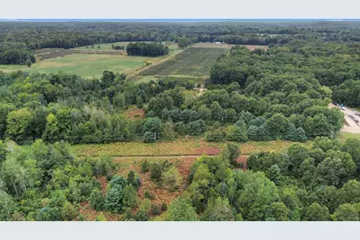 305 55th Street, Grand Junction, MI 49056 - Photo 13