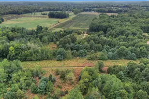 305 55th St, Grand Junction, MI 49056 - Photo 13