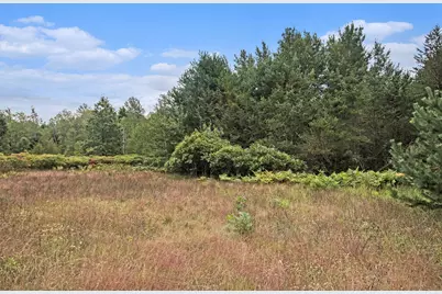 305 55th Street, Grand Junction, MI 49056 - Photo 15
