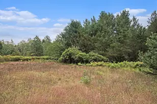 305 55th St, Grand Junction, MI 49056 - Photo 15