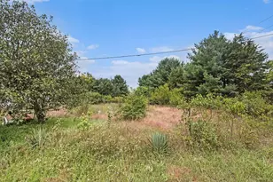 305 55th St, Grand Junction, MI 49056 - Photo 7