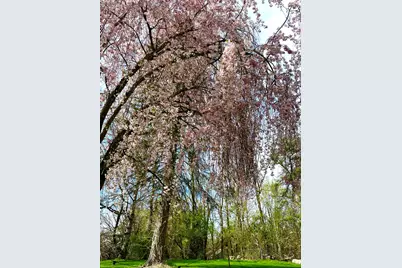 18315 Cavanaugh Lake Road, Chelsea, MI 48118 - Photo 5