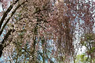 18315 Cavanaugh Lake Rd, Chelsea, MI 48118 - Photo 5