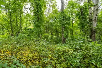 V/L 60th St Par C, Alto, MI 49302 - Photo 7