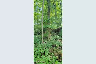 19343 Ravine Drive, New Buffalo, MI 49117 - Photo 7