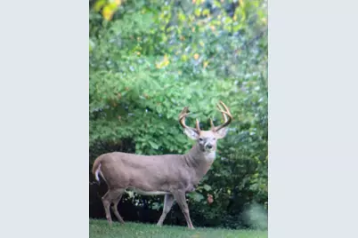 3041 Elk Antler Avenue, Plainwell, MI 49080 - Photo 9