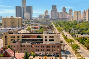 3140 Woods Circle, Detroit, MI 48207 - Photo 29