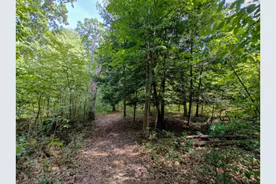 Vl 80th Avenue, Zeeland, MI 49464 - Photo 3